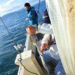 フィッシングガイド とちぎ 釣果