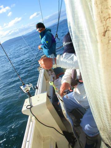 フィッシングガイド とちぎ 釣果