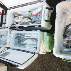 フィッシングガイド とちぎ 釣果