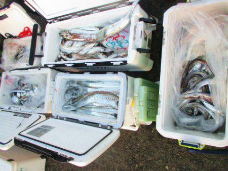 フィッシングガイド とちぎ 釣果