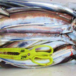 フィッシングガイド とちぎ 釣果