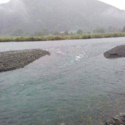 安倍川・藁科川（安倍藁科川漁業協同組合） 釣果