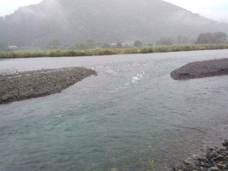 安倍川・藁科川（安倍藁科川漁業協同組合） 釣果