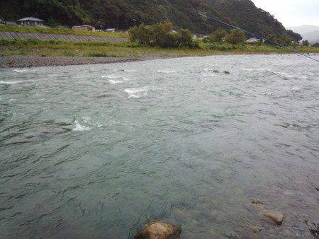 安倍川・藁科川（安倍藁科川漁業協同組合） 釣果