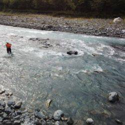 安倍川・藁科川（安倍藁科川漁業協同組合） 釣果