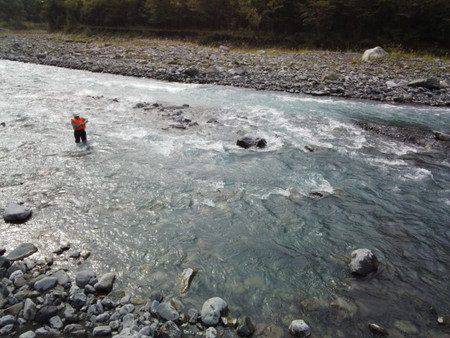 安倍川・藁科川（安倍藁科川漁業協同組合） …