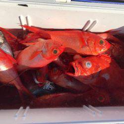 番匠高宮丸 釣果