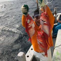 番匠高宮丸 釣果