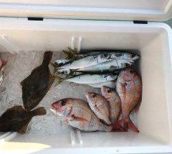 シャングリラ 釣果