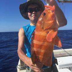 群星・むるぶし 釣果