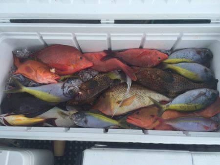 群星・むるぶし 釣果