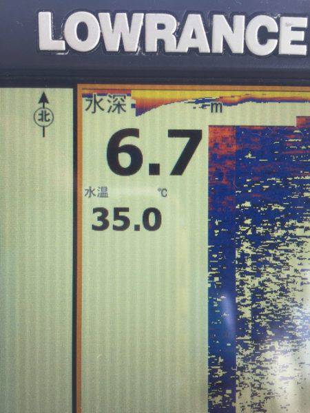群星・むるぶし 釣果