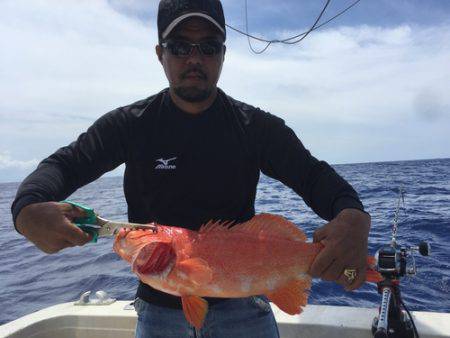 群星・むるぶし 釣果