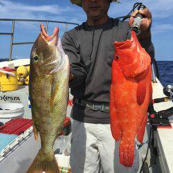群星・むるぶし 釣果