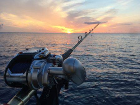群星・むるぶし 釣果