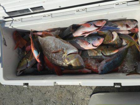 群星・むるぶし 釣果