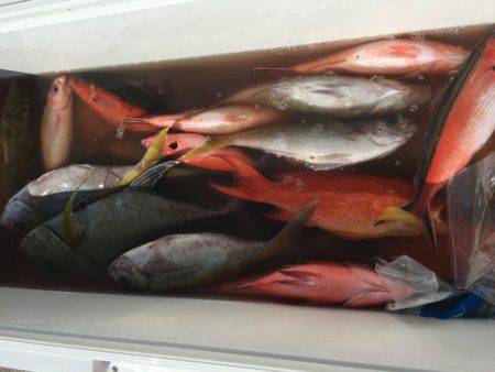 群星・むるぶし 釣果