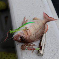 武蔵丸 釣果