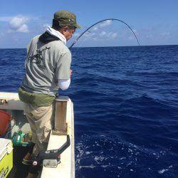 群星・むるぶし 釣果