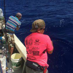 群星・むるぶし 釣果