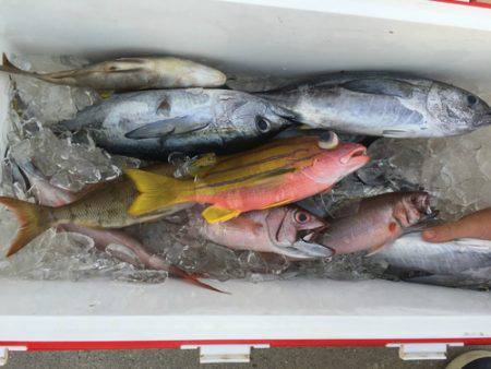 群星・むるぶし 釣果