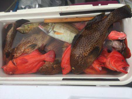 群星・むるぶし 釣果