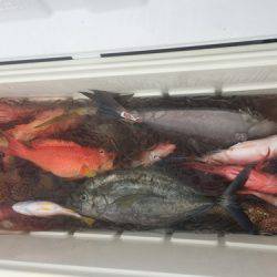 群星・むるぶし 釣果