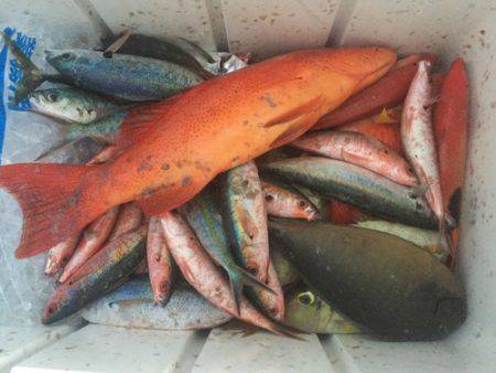 群星・むるぶし 釣果