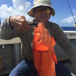 群星・むるぶし 釣果