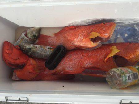 群星・むるぶし 釣果