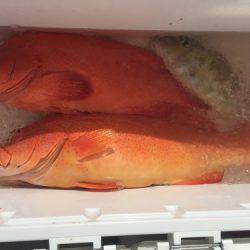 群星・むるぶし 釣果