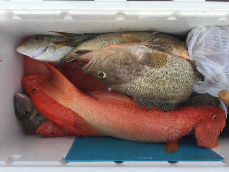 群星・むるぶし 釣果