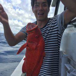 群星・むるぶし 釣果