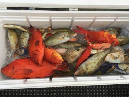 群星・むるぶし 釣果