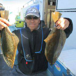 大進丸（愛知） 釣果