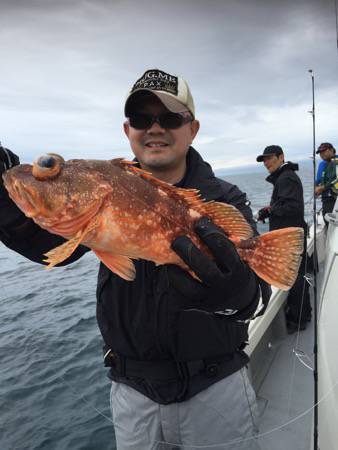 シーモンキー 釣果
