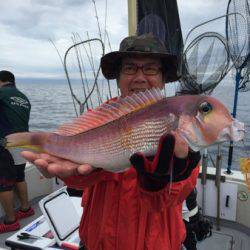 シーモンキー 釣果