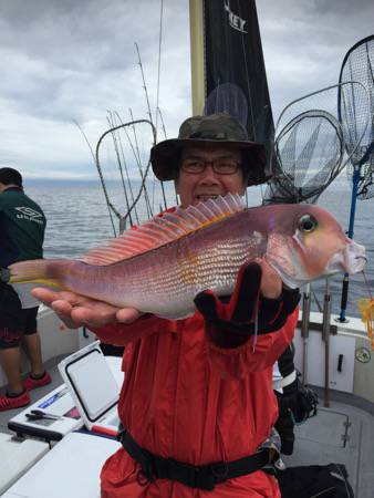 シーモンキー 釣果