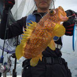 シーモンキー 釣果