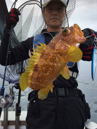 シーモンキー 釣果