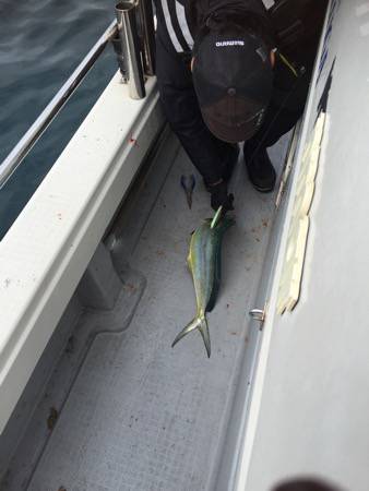 シーモンキー 釣果