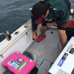 シーモンキー 釣果