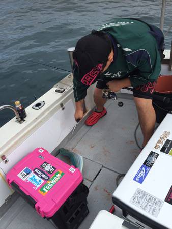 シーモンキー 釣果