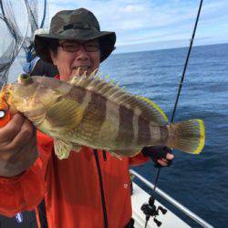 シーモンキー 釣果