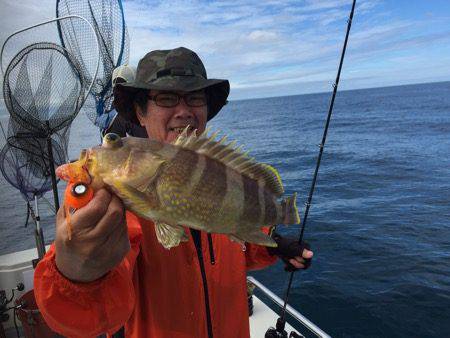 シーモンキー 釣果