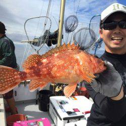 シーモンキー 釣果