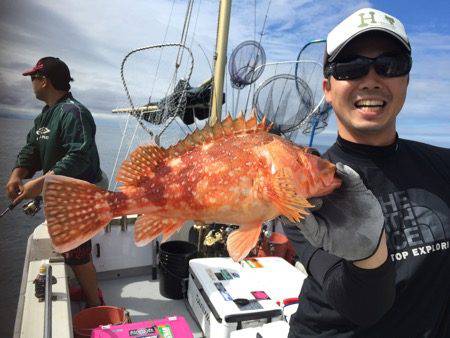 シーモンキー 釣果