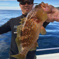 シーモンキー 釣果