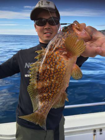 シーモンキー 釣果