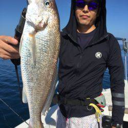 シーモンキー 釣果